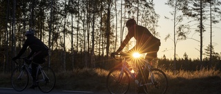 Miljövänligare om cyklister låter bilar passera