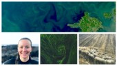 Ny teknik ska kunna förutse algblomning • Forskare i Göteborg tar hjälp av Västerviksbor