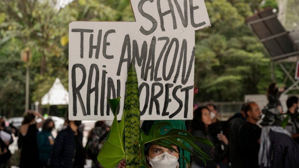 "Rädda Amazonas regnskog" står det på ett plakat som en aktivist håller upp under en protest i Sao Paolo i juni 2022.