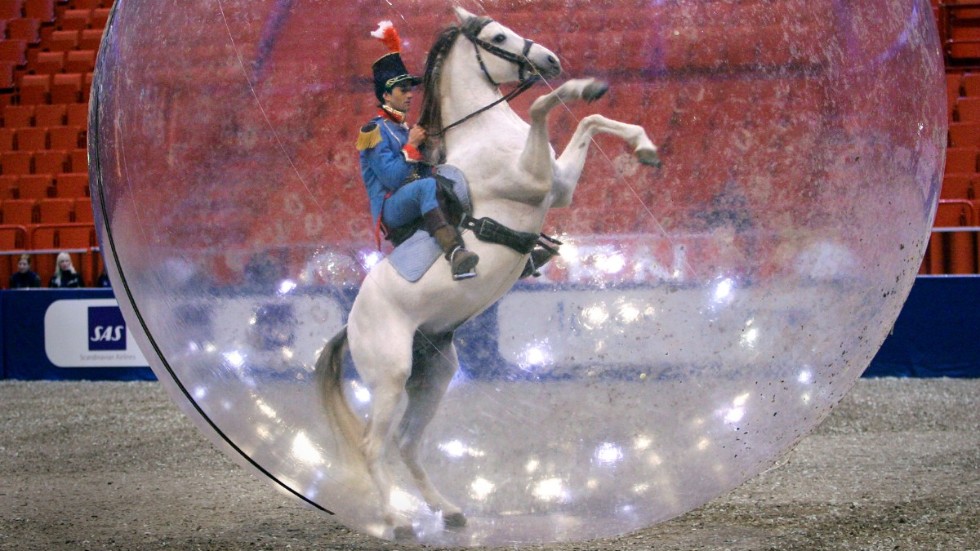Här ser vi en häst med ryttare i en jättelik bubbla från Stockholm Horse show 2006. Dagens debattör varnar för att höga politikerlöner sätter politikerna i en egen bubbla; långt borta från vanligt folks verkligheter. 