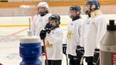 Ungdomar på årets hockeyläger önskar is året runt. 