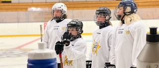 Ungdomar på årets hockeyläger önskar is året runt. 