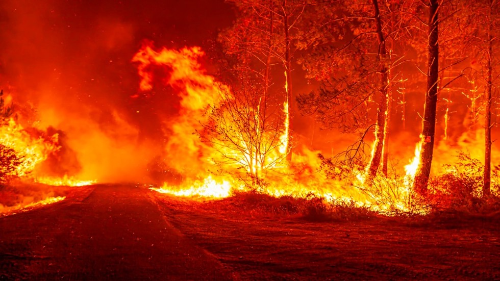 Skådeplatsen för en skogsbrand – en av många i Frankrike – under fredagen nära Saint-Magne, söder om Bordeaux.