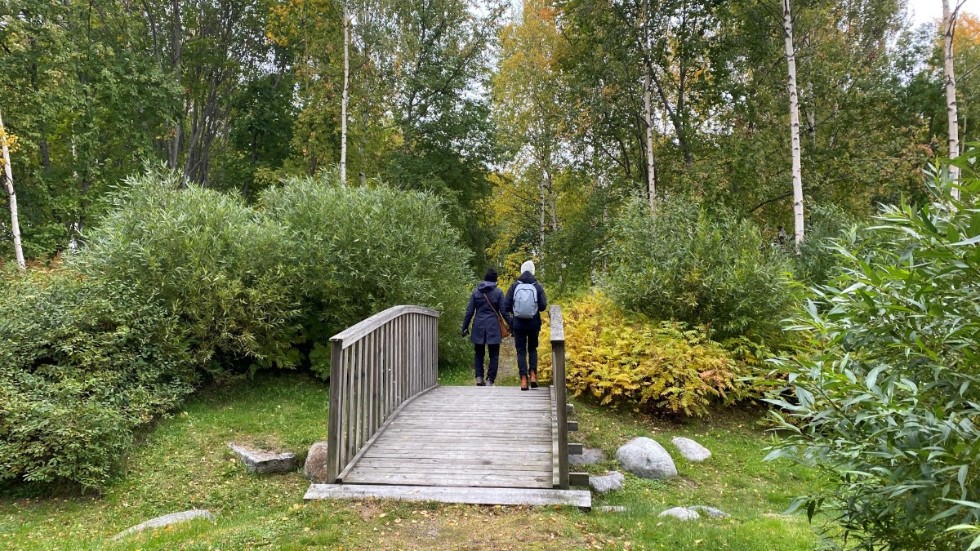 Nu ska utemiljön i bostadsområdet Linnéparken i Piteå rustas upp. Norconsult och beställaren Pitebo vill skapa ett hemtrevligt område som håller över tid.