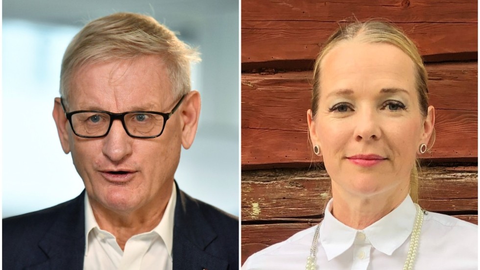 Carl Bildt och Diana Janse är oroade över hur stödet till Ukraina kommer att utvecklas.