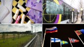 Unik grafik: Motionerna som lämnats in i Piteå under mandatperioden • Oppositionen kritisk: Svårt få bifall på motioner från "fel" håll