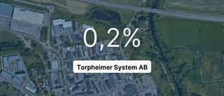 Torpheimer System AB: Vinst för första gången sedan starten