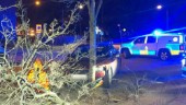 Full man utan körkort greps efter vansinnesfärd ✓Smet från polisen ✓Genade i rondell ✓Mejade ner 30-skylt ✓Kraschade in i träd
