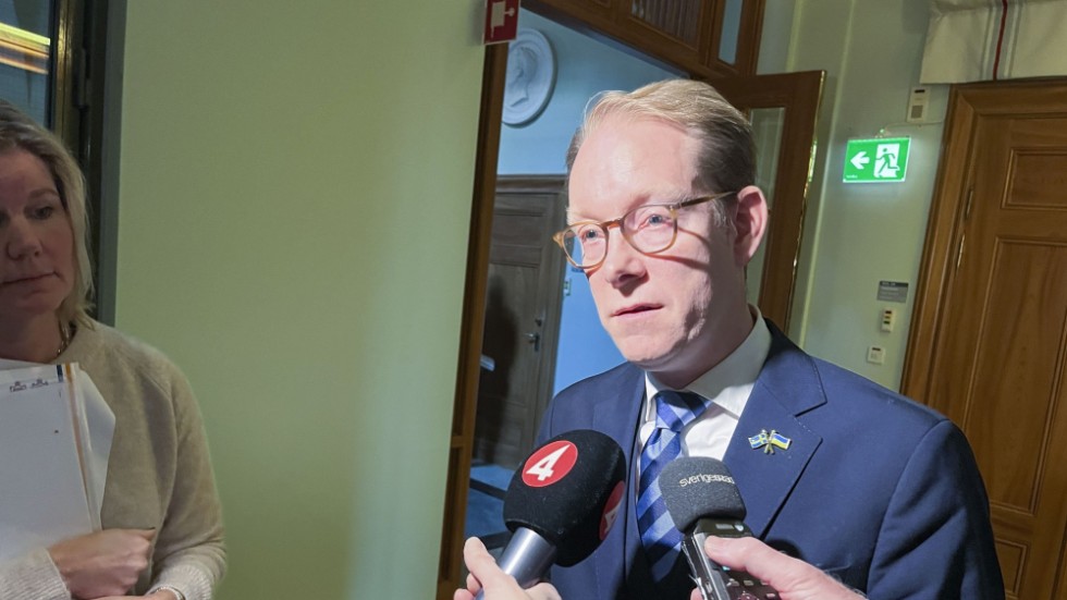 Utrikesminister Tobias Billström (M) tycker inte att kritiken mot regeringens hantering av Natoprocessen "träffar rätt".