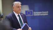 Ungern skjuter upp Natobeslut – igen