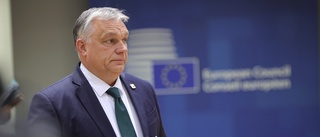 Ungern skjuter upp Natobeslut – igen