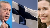 Så tar vi bakvägen in i Nato – en hyllning till Finland