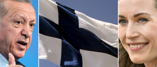 Så tar vi bakvägen in i Nato – en hyllning till Finland