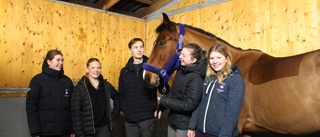 Ungdomarna köpte en häst till ridskolan: "Stod i valet och kvalet" • Har samlat in pengar