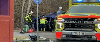 Bil korsade cykelbana – körde in i träd • En till sjukhus