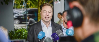 Elon Musks 2022 – hjälteglorian på sned