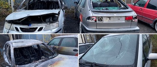 Misstanken: Någon tände eld på bilarna • ”Det var inget pojkstreck”