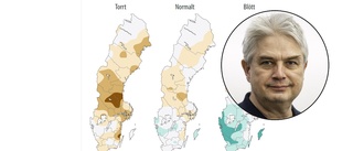 Extremt låga grundvattennivåer i Nyköping – vattenexpert: "Vid normal utveckling blir det förbättring"