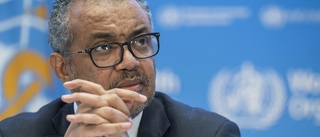 FN-chefer kräver omedelbar vapenvila i Gaza