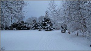 Se till att Klosterparken förblir mötesplats på vintern