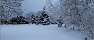 Se till att Klosterparken förblir mötesplats på vintern