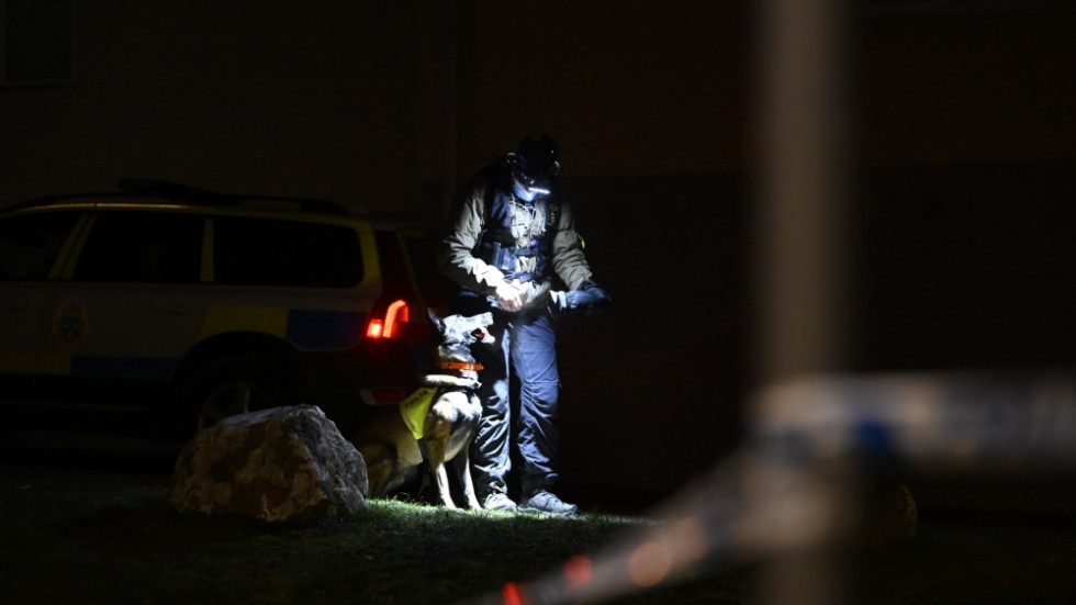 Polis på plats vid brottsplatsen med tekniker och hundförare efter söndagens mord i området Blombacka i Södertälje.