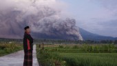 Vulkanutbrott utlöser larm på Java