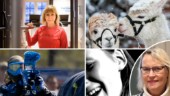 Sista minuten-tips för friskvårdsbidrag: ✓Lista: Från alpackavandring till hypnos ✓Max 5 000 kronor ✓Rusning till träning ✓Måste säga nej