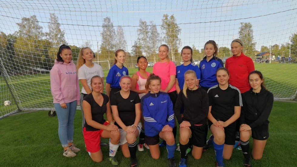 Delar av Södra Vi IF:s nystartade damlag, som kommer att spela i division fyra nästa säsong.