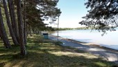 Markens rätta värde i Varamon
