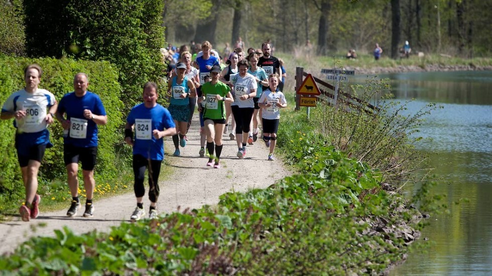 Allt fler väljer att springa den korta distansen fem kilometer när Kanallöpet avgörs på söndag.
