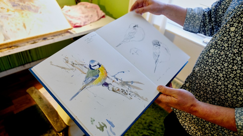 Fåglar är ett av Jonas favoritmotiv. I ett dussintal skissböcker har hantecknat hundratals. 