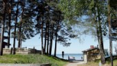 Varamon bör utvecklas i samklang med naturen