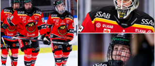 Nu måste Luleå Hockey vinna – riskerar sämsta resultatet på sju år