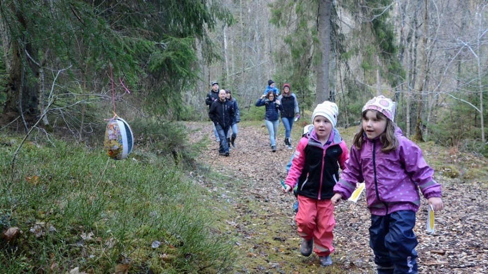 Många gav sig ut på Äggjakt i VOK-skogarna i onsdags. Foto: Magnus Strömsten