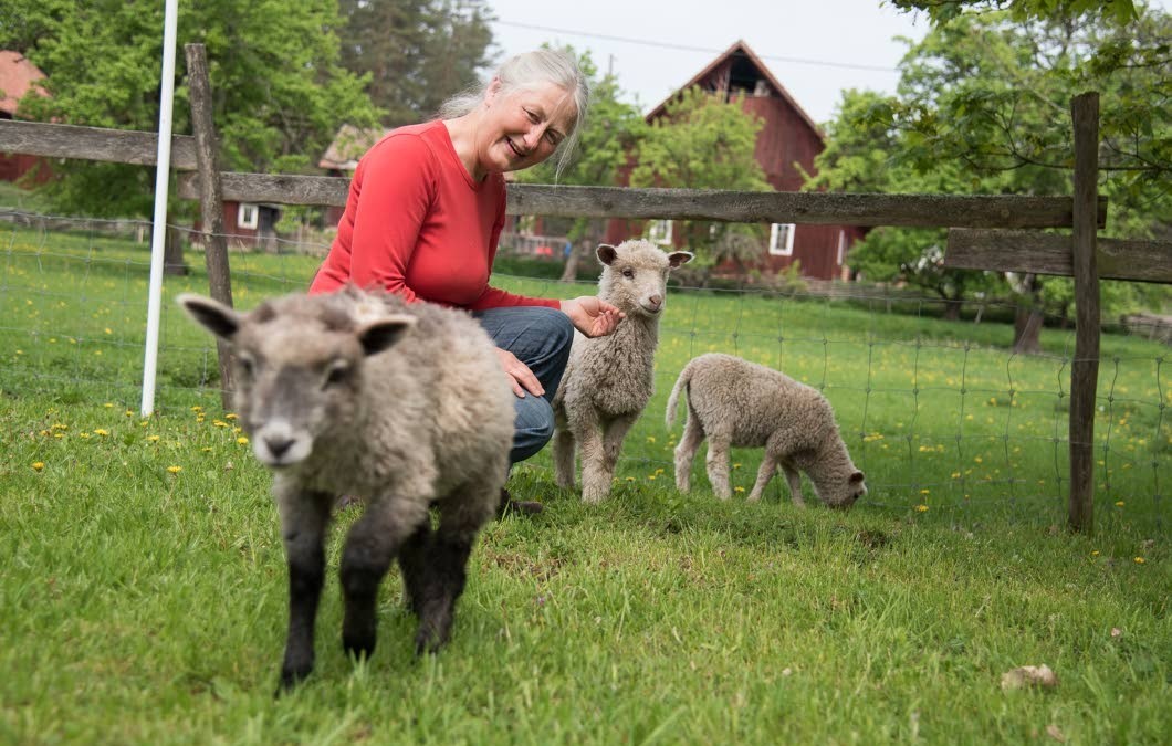 Smaka på Tjust kör en egen helg
