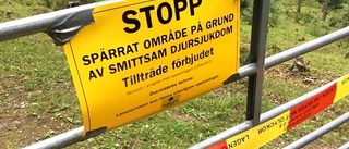 Fortsatt smittrisk efter fågelsjuka