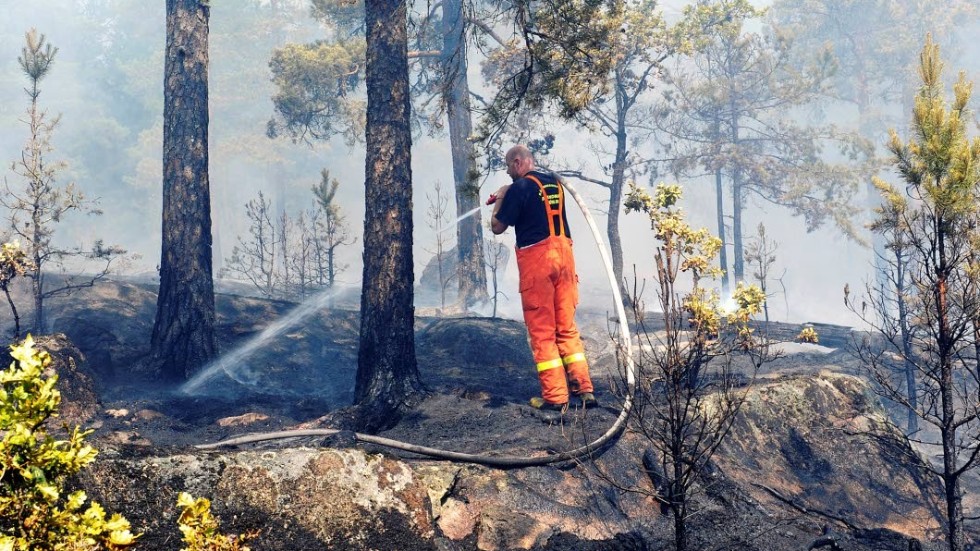 Beredskap för skogsbränder bör stärkas anser Myndigheten för samhällsskyd och beredskap (MSB). Bilden är från en skogsbrand i trakten kring Ankarsrum.