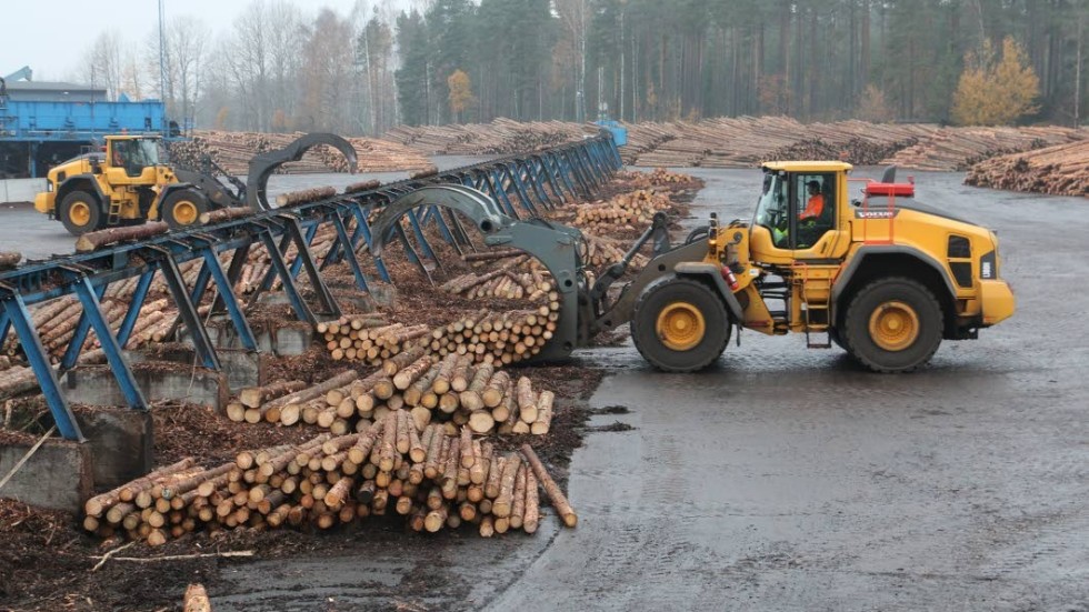 Bra priser på råvaran och ännu bättre priser på färdigsågat betyder att Bergs Timber gör ett bra resultat, så pass att aktieutdelningen fördubblats.
