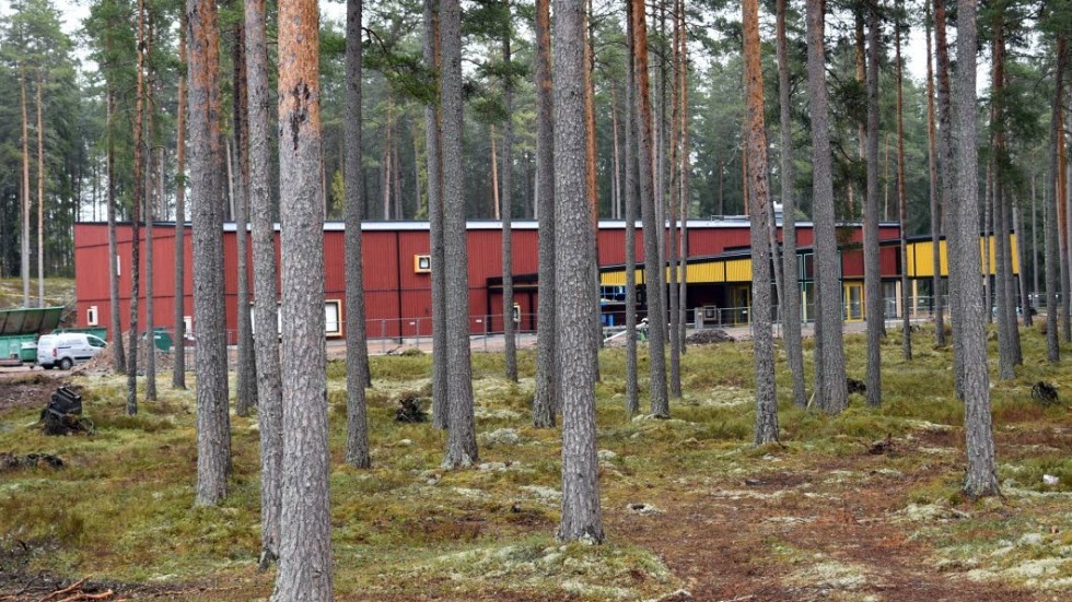Utemiljön runt Filmbyn Småland kommer att erbjuda nya aktiviteter till sommaren.
