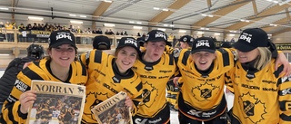 Ny huvudtränare klar för Skellefteå AIK – inför SDHL-säsongen