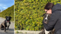 Laila och hunden Chica nära döden – räddades av främlingar