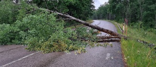 Risk för olyckor söder om Malmköping – stort träd över vägen