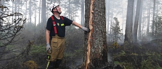 Åtta skogsbränder efter blixtnedslag i Östergötland på lördagen