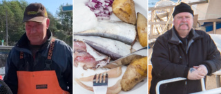 EU styr vårt fiske – krislarm, men: "Strömmingen är fet och fin"