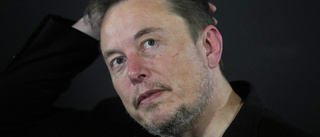 Musk till hätsk motattack: "Karma är en bitch"