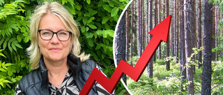 "Skog är bland det bästa vi kan låna ut pengar till"