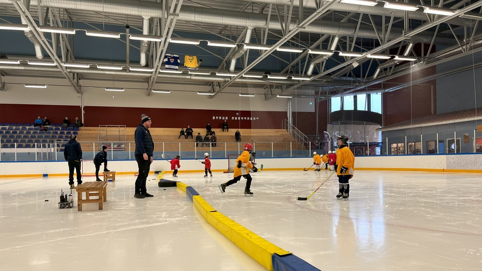 Hockeytalangerna som kan ta plats i TVrutan