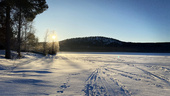 Winter's last stand? Skellefteå to enjoy warmer temperatures