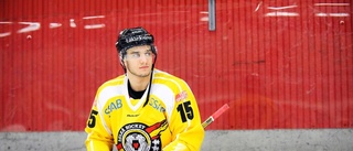 Hellre Luleå Hockey än AHL för Jaros: "SHL är på en högre nivå"